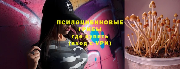 первитин Няндома