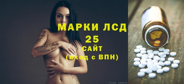 прущий лед Болотное