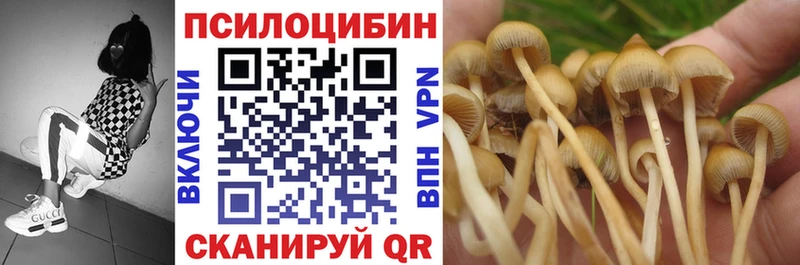 Галлюциногенные грибы Psilocybine cubensis  Кондрово 