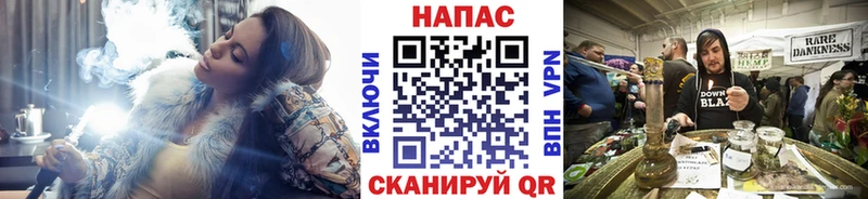 Шишки марихуана планчик  хочу наркоту  Кондрово 